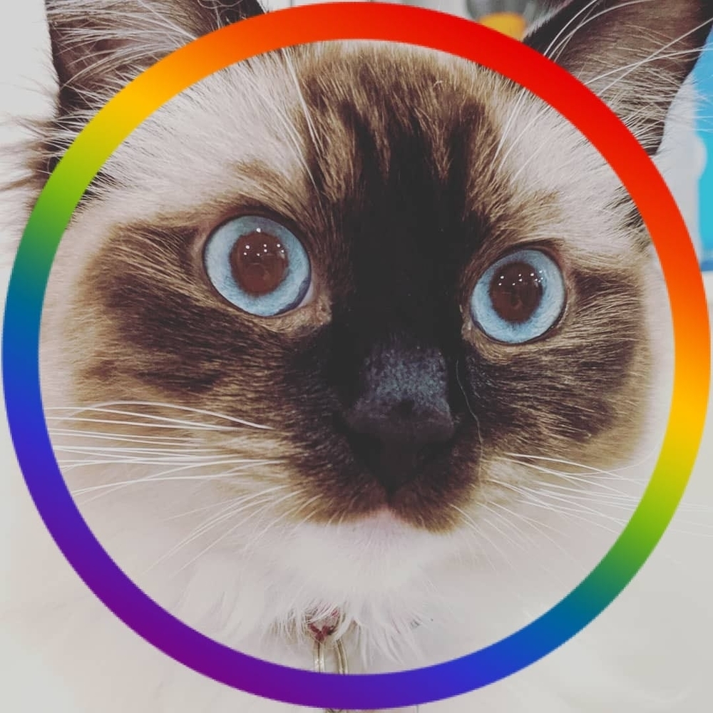 Meet your Posher, Daniela